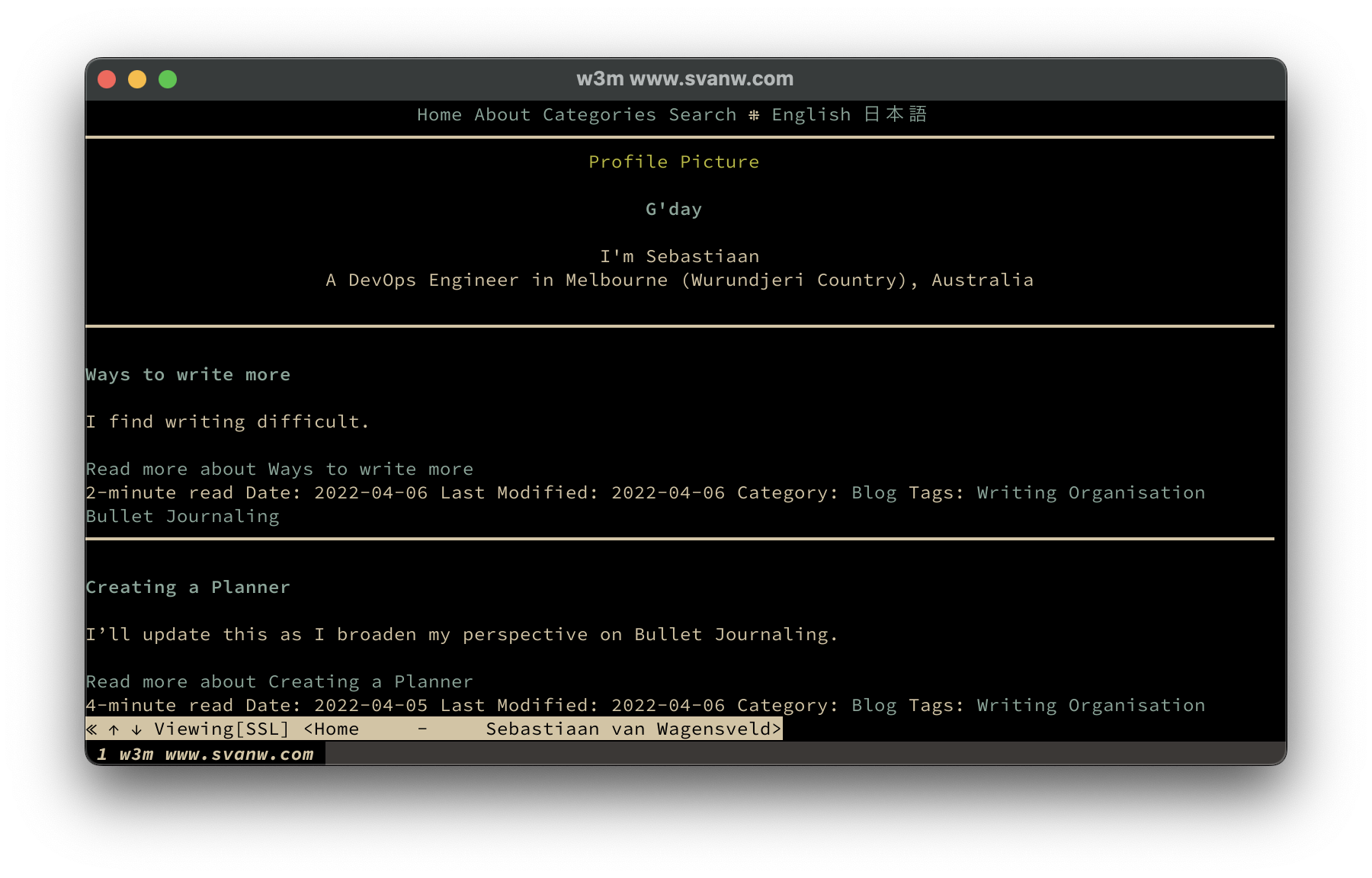 w3m successfully loading www.svanw.com